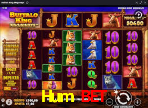 Interface Premium Hum Bet